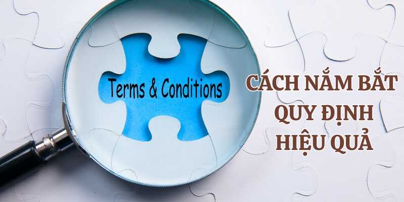 Tham khảo cách nắm bắt và tuân thủ các điều khoản nhanh và hiệu quả